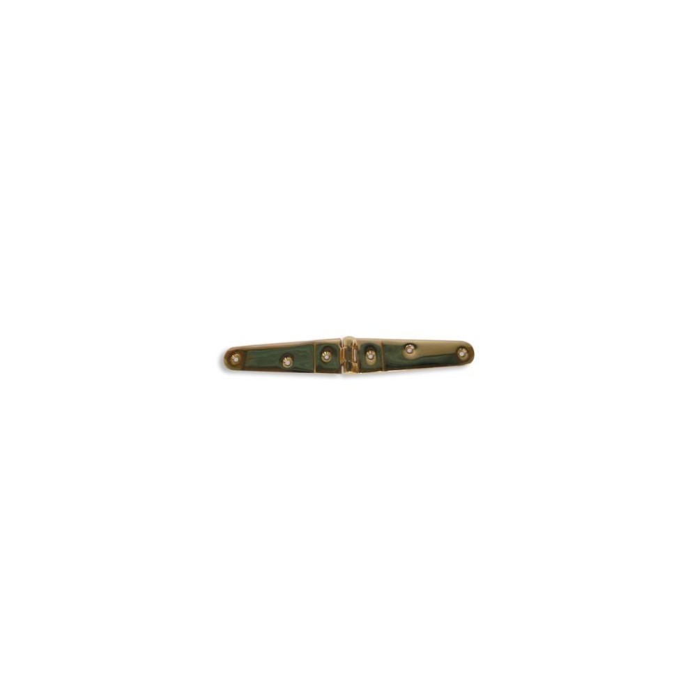 Long thick brass strap hinge