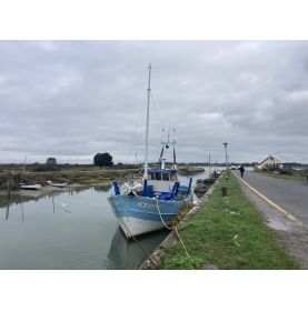 Bateau de pêche au commerce à vendre