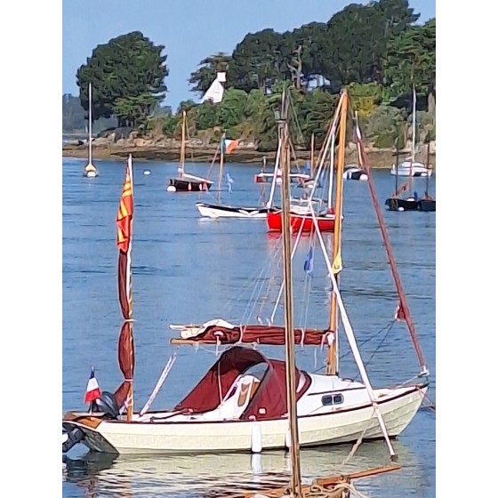 Drascombe Coaster à Vendre