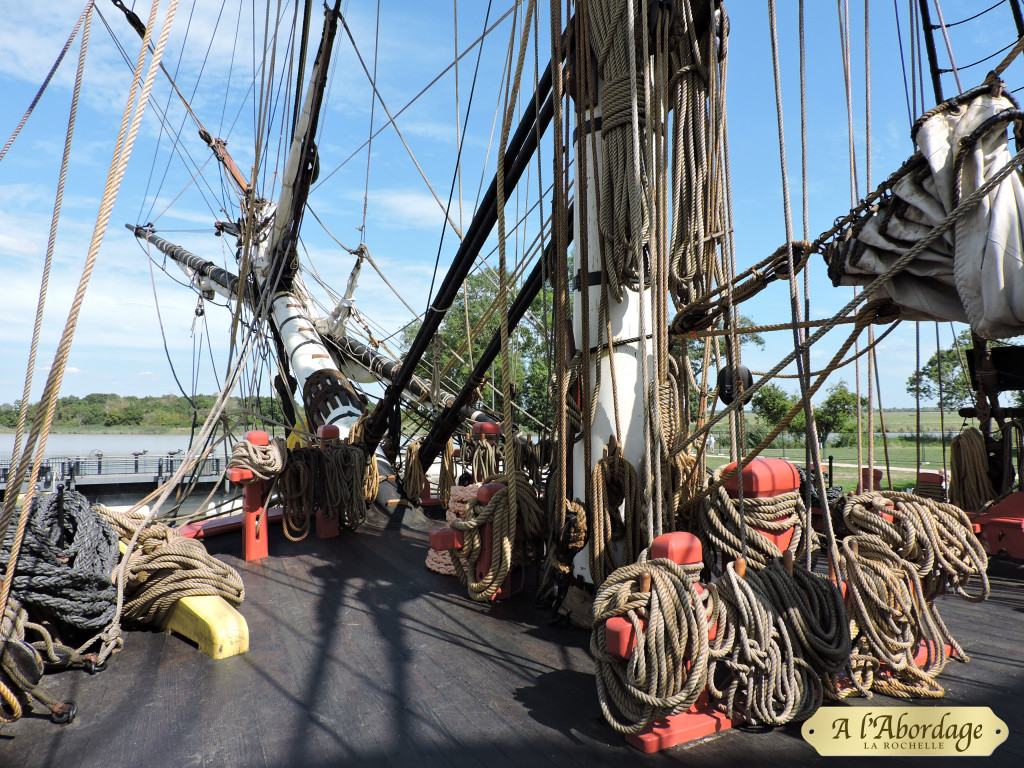 bout-dehors de l'hermione