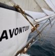 Proue voilier Avontuur