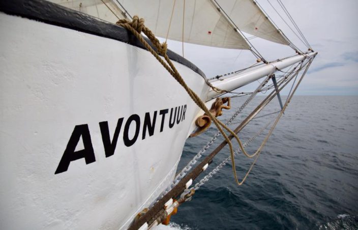 Proue voilier Avontuur